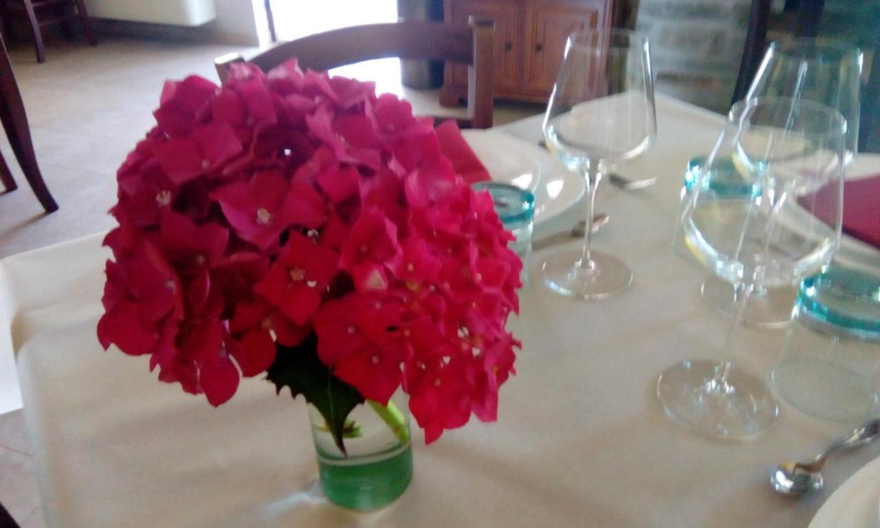 Agriturismo Nizur'In Roccaverano Buitenkant foto